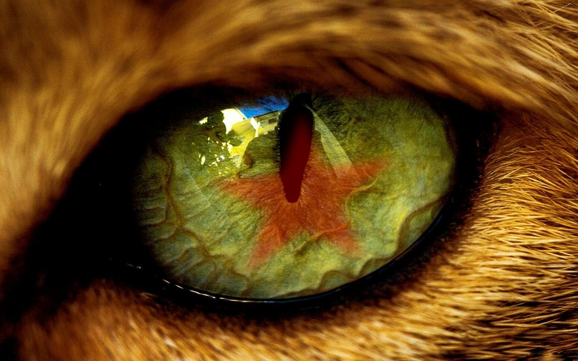 pismo Marjana Kokalja Igorju Kaduncu